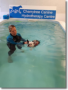 Cherrytree Canine  Hydrotherapy Kent -  Gallery 2